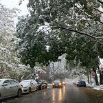 Bluebonnet Salads & Grill